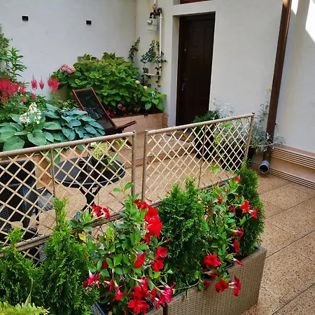 Cozy House Appartamento